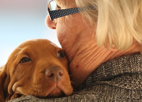 Amici con la coda: i progetti Pet Friendly di Korian